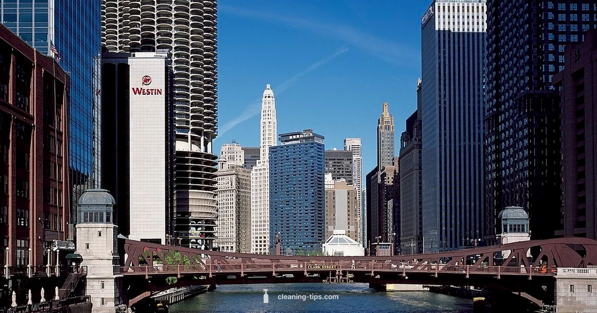 Chicago River Cleanliness Chicago River Cleanliness - Cleaning Tips