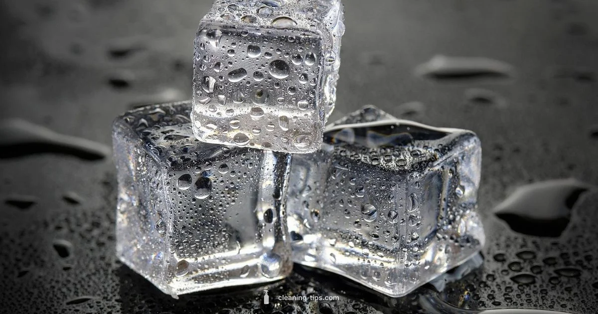 Ice Maker Cleaning - Cleaning Tips