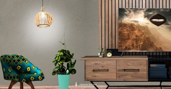 Clean House Company - Cleaning Tips