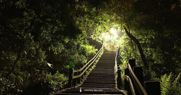 Gutter Prices 2026 - Cleaning Tips