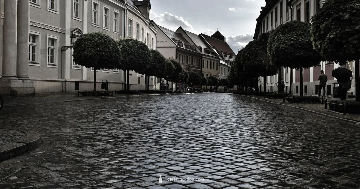 Clean City Guide - Cleaning Tips