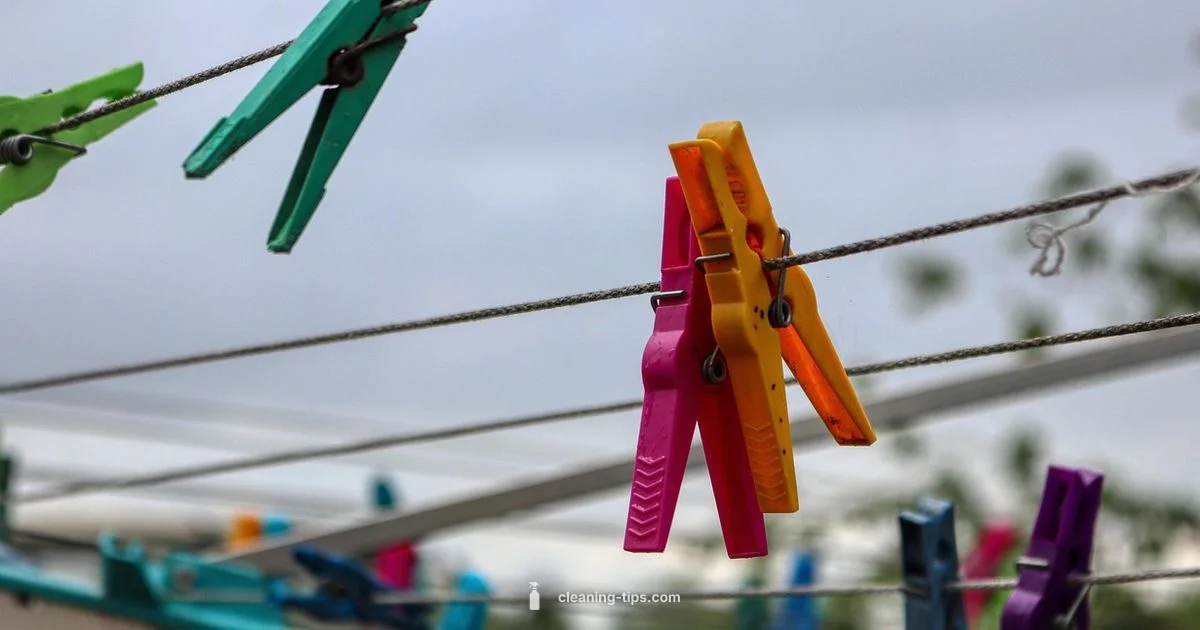 Dry Clean Guide - Cleaning Tips