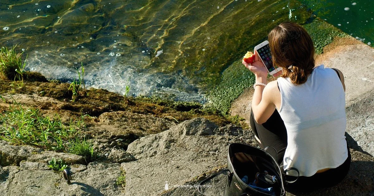 Free Phone Clean - Cleaning Tips