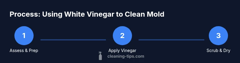 Infographic showing three steps to clean mold with white vinegar