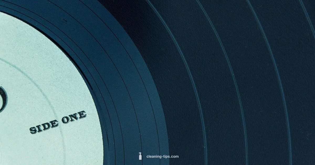 Clean Vinyl Records - Cleaning Tips