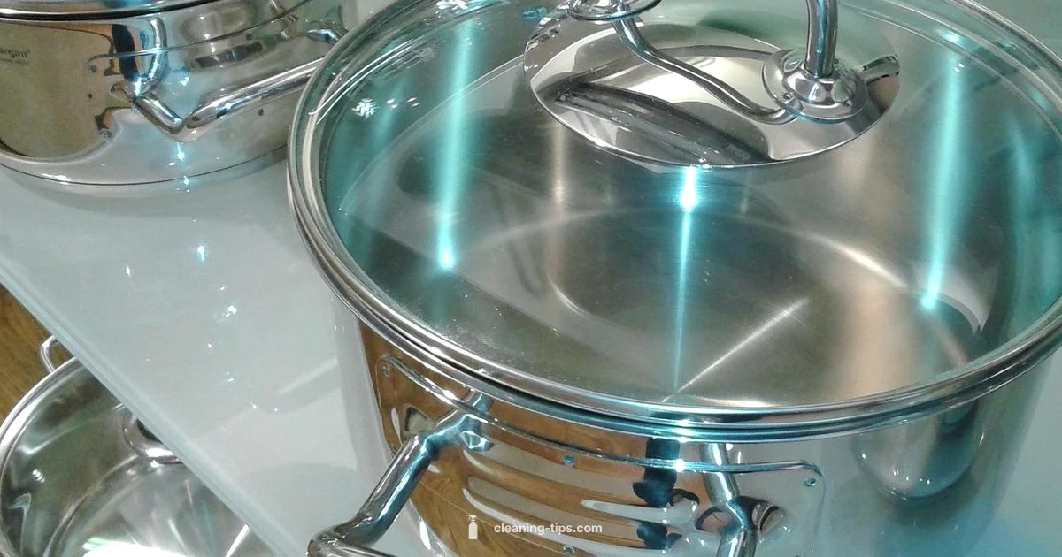 Shine Stainless Pots - Cleaning Tips