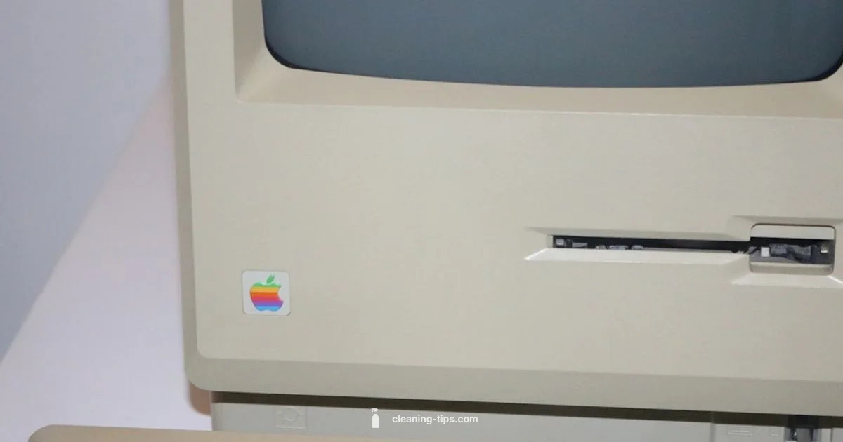 CleanMyMac X Guide - Cleaning Tips