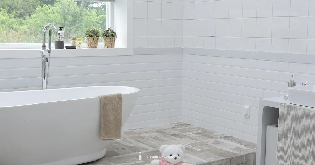 Clean Grout Guide Clean Grout Guide - Cleaning Tips