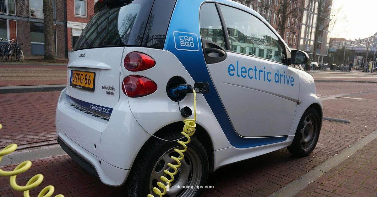 Dino Clean Car Wash - Cleaning Tips