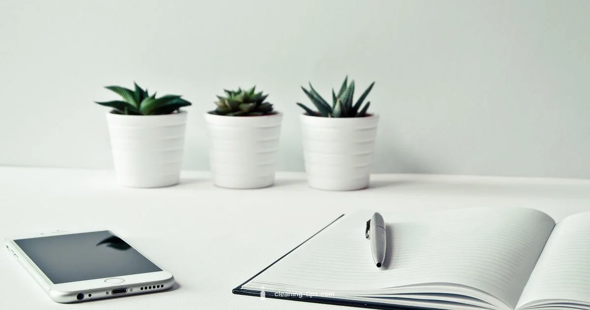 Disable Clean Energy Charging - Cleaning Tips