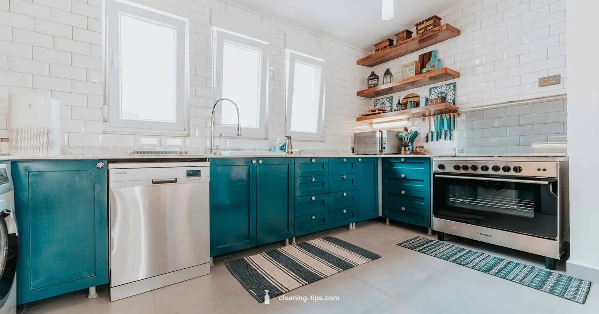 Are Clean Up Guide - Cleaning Tips