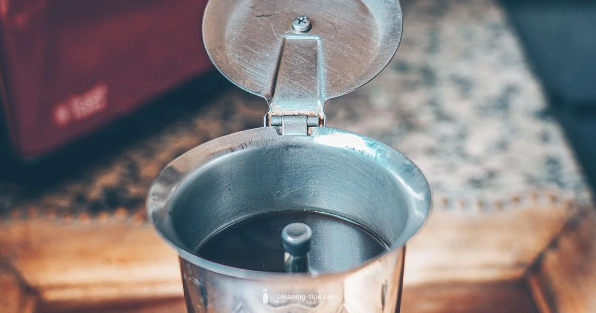 Clean with Vinegar - Cleaning Tips