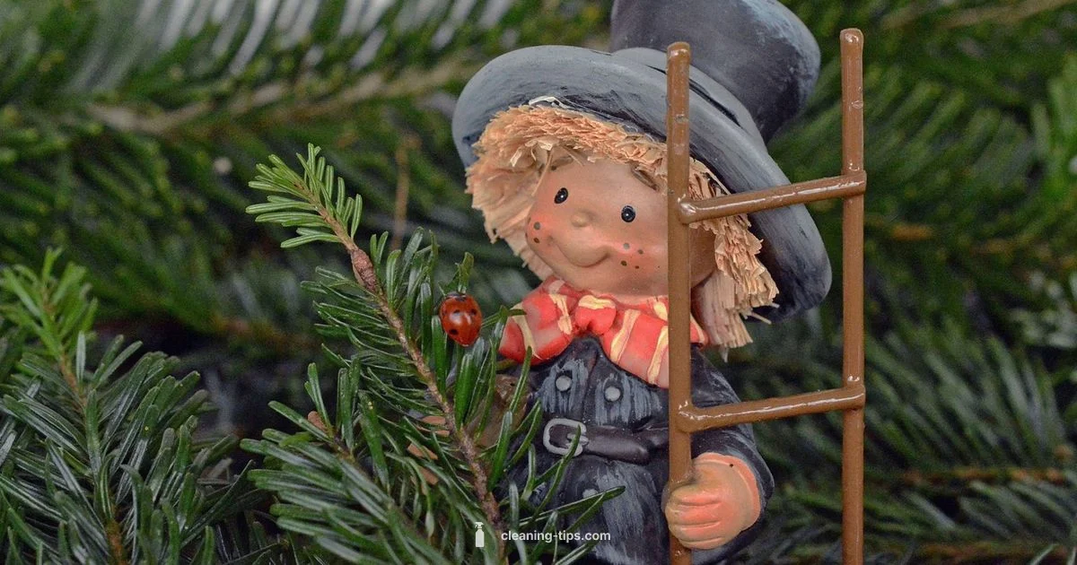 Fresh Start Fresh Start - Cleaning Tips