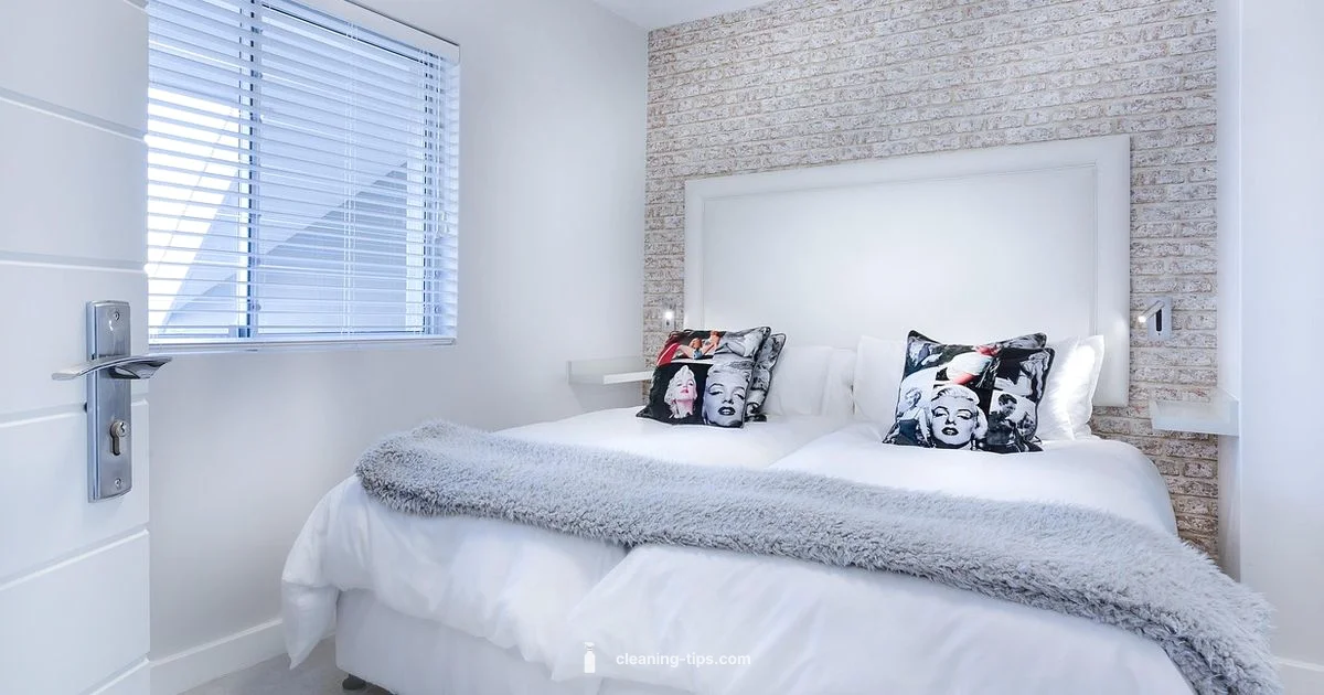 Easy Humidifier Care - Cleaning Tips