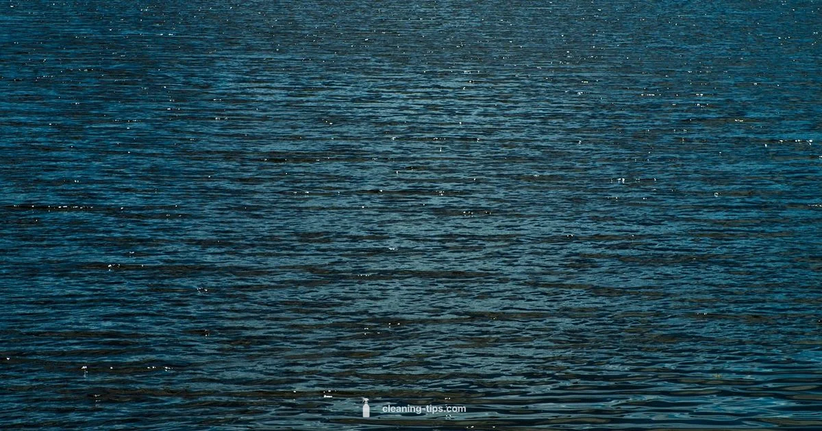 Clean vs Cleanse - Cleaning Tips