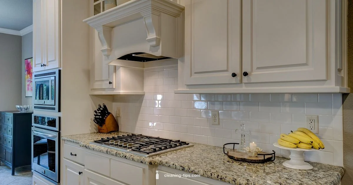 Oven Cleaning Guide Oven Cleaning Guide - Cleaning Tips