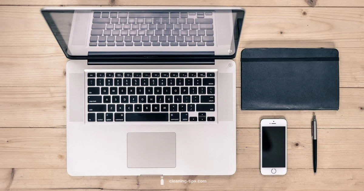 Clean iPhone Guide - Cleaning Tips