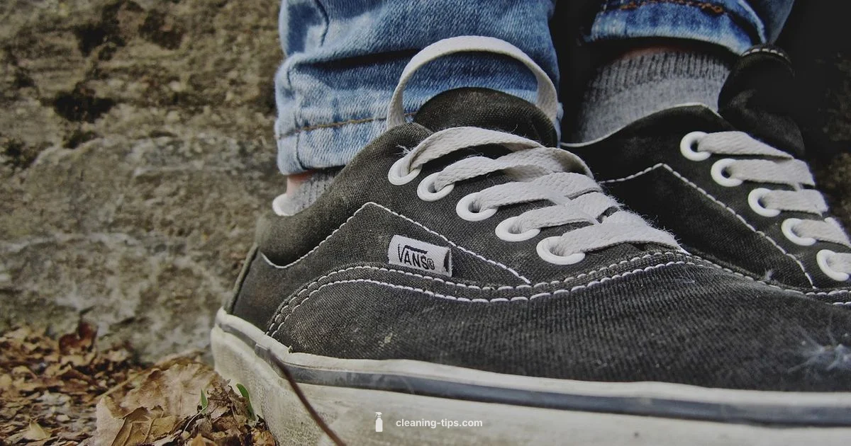 Sneaker Care 101 - Cleaning Tips