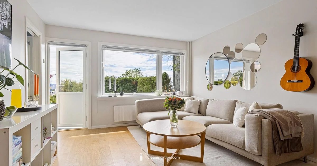 Clean Carpet Picks Clean Carpet Picks - Cleaning Tips