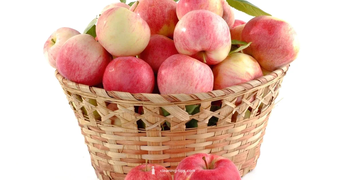 Beginner Clean Eating - Cleaning Tips