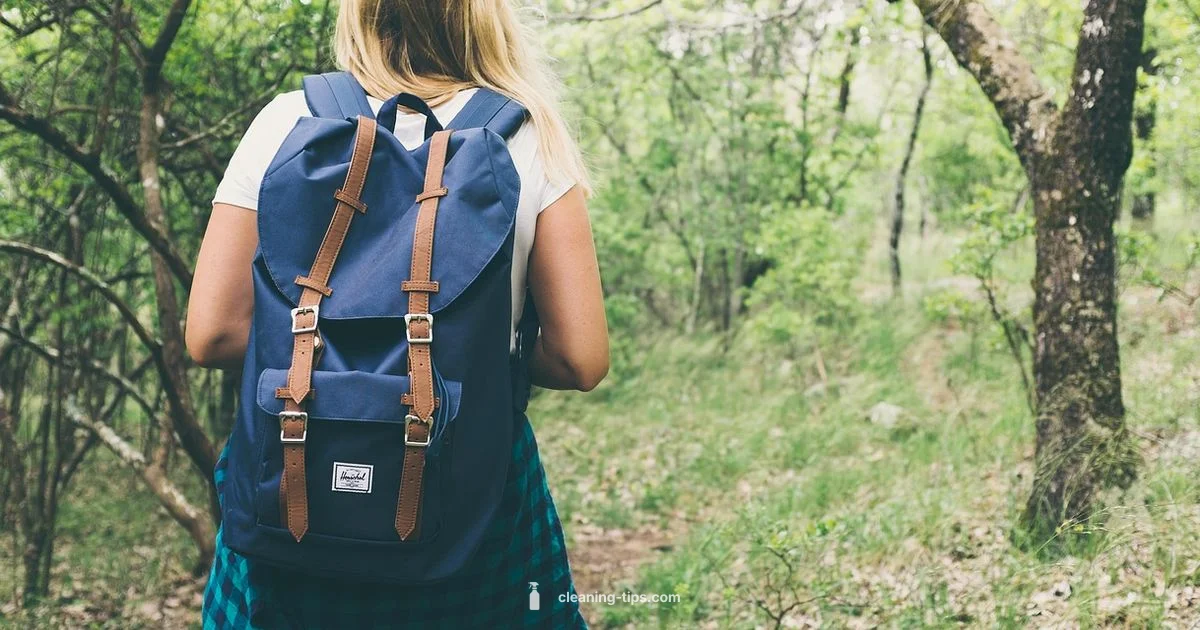 Backpack Cleaning Guide - Cleaning Tips