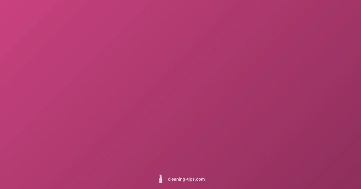 Clean vs Rebuilt Title - Cleaning Tips (illustration)