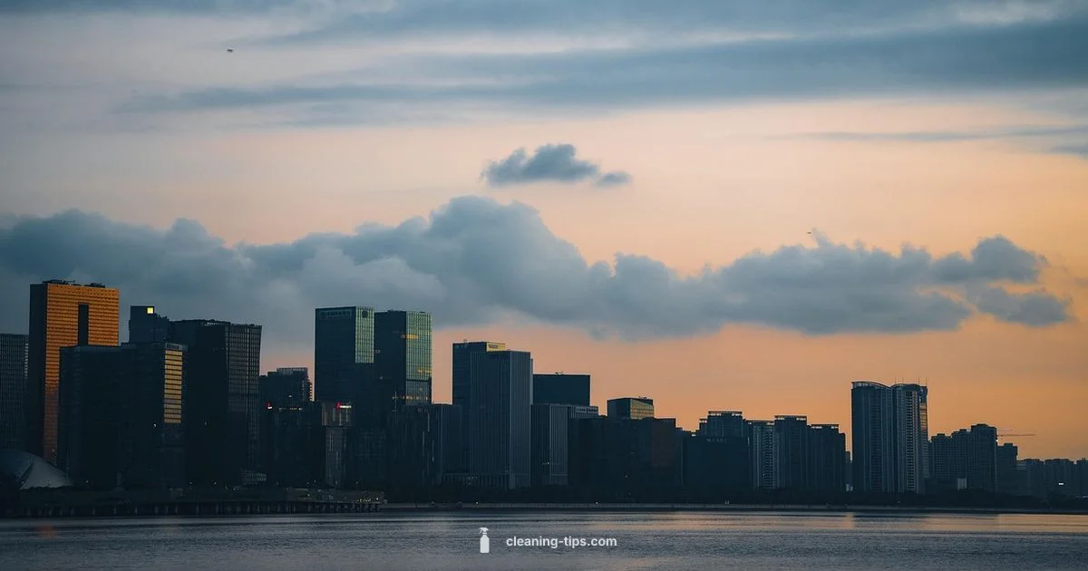 Urban Cleanliness - Cleaning Tips