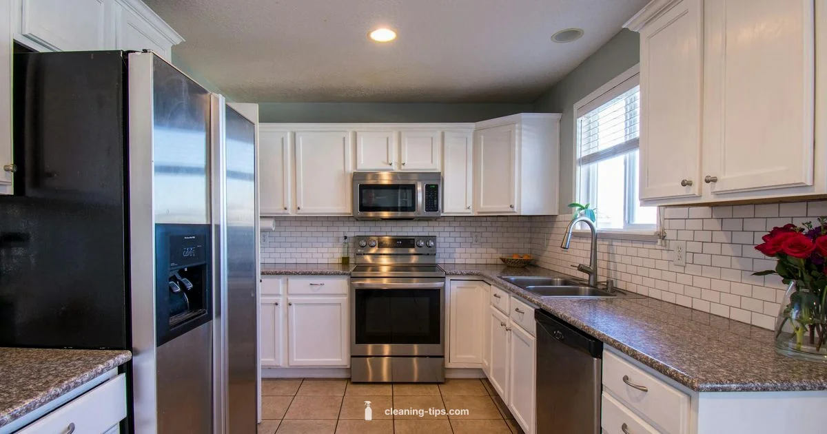 Classic Clean Guide - Cleaning Tips