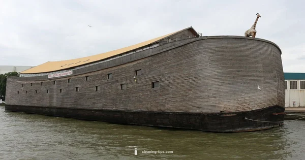 Ark Animal Counts - Cleaning Tips