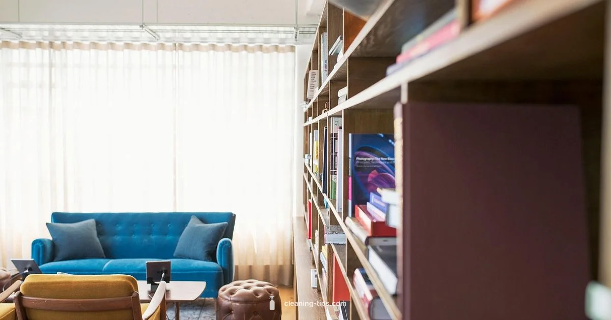 Hoarder Cleanup Process - Cleaning Tips