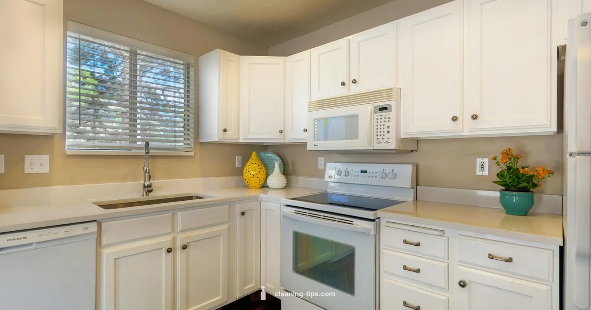 Fresh and Clean - Cleaning Tips