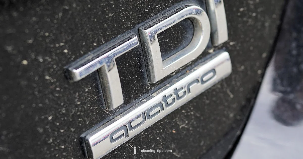 Clean DPF Guide - Cleaning Tips