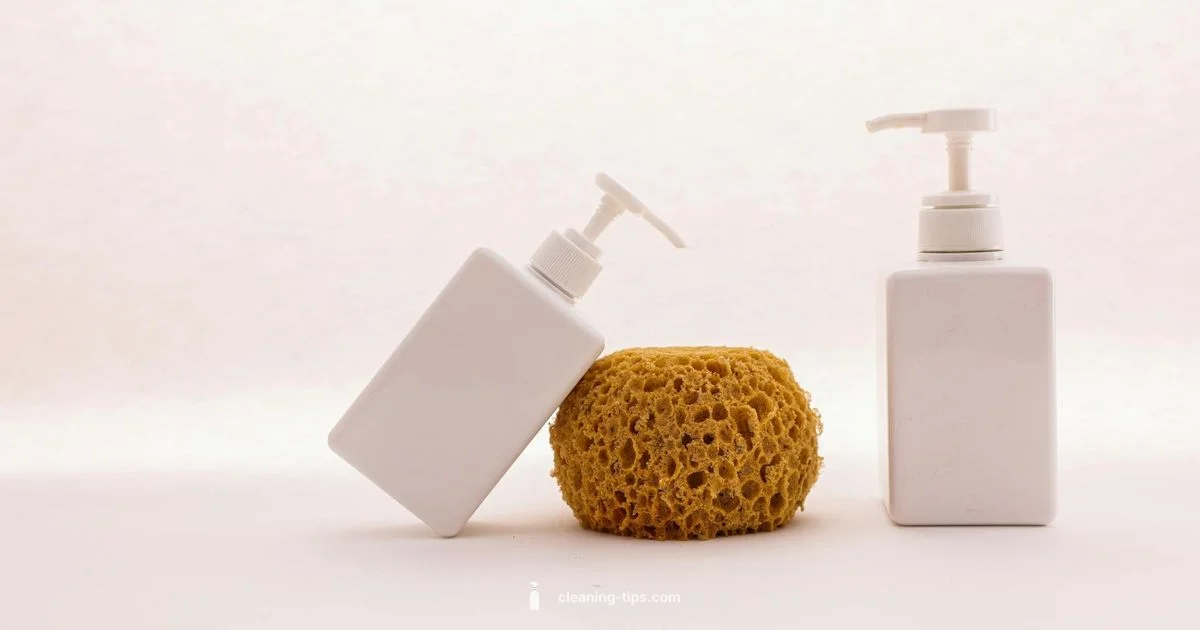 SA Check - Cleaning Tips