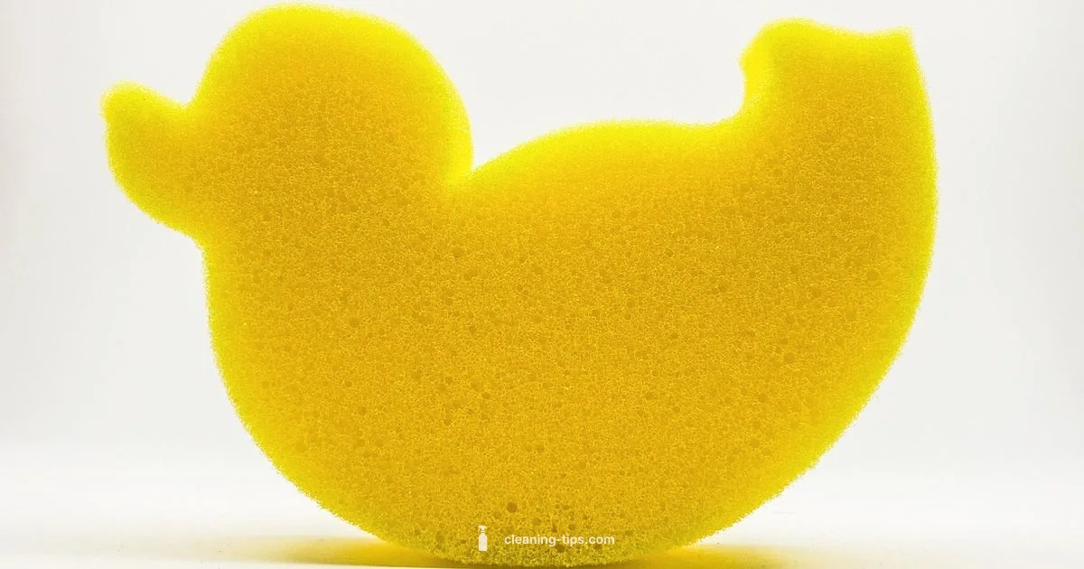 Sponge Bath Guide Sponge Bath Guide - Cleaning Tips