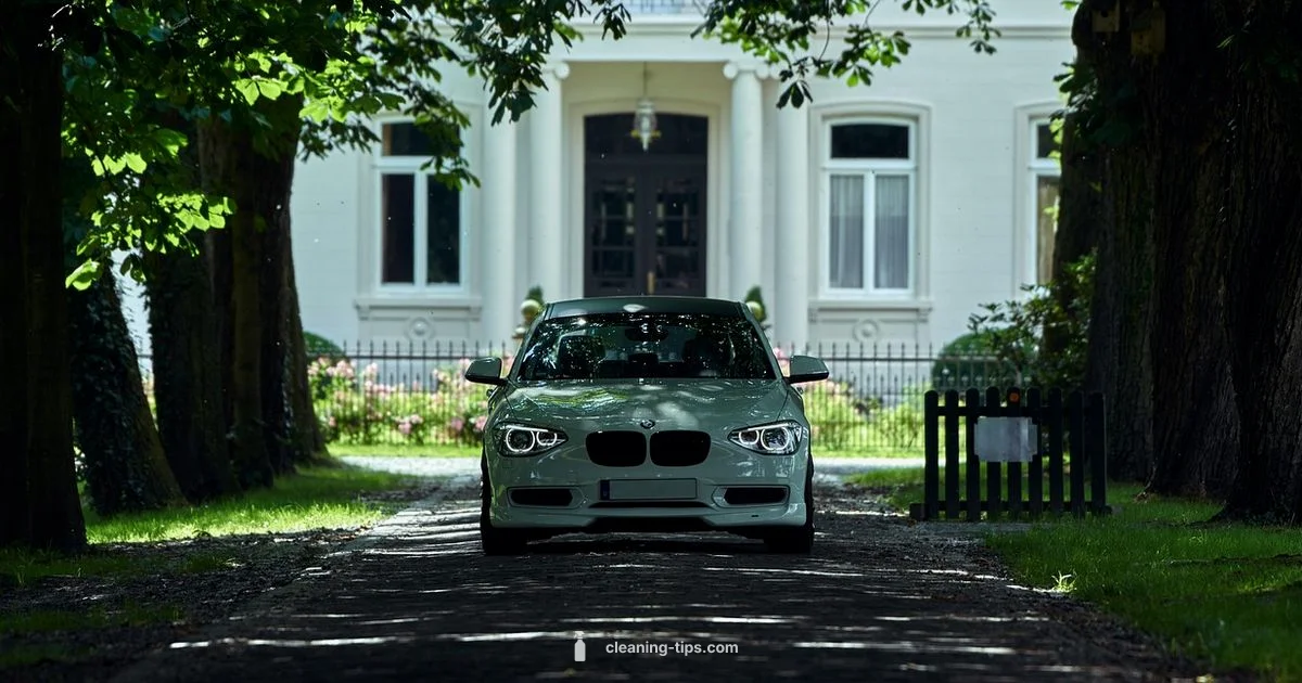 Car Clean Detail - Cleaning Tips