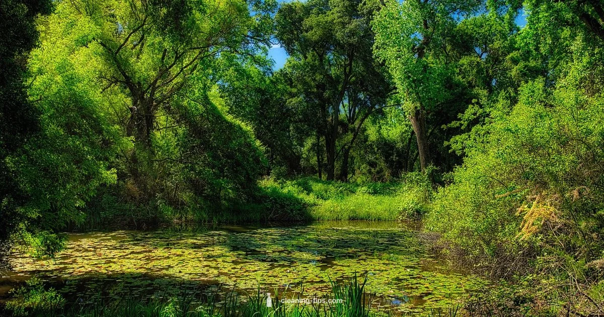 Clean AC Guide Clean AC Guide - Cleaning Tips