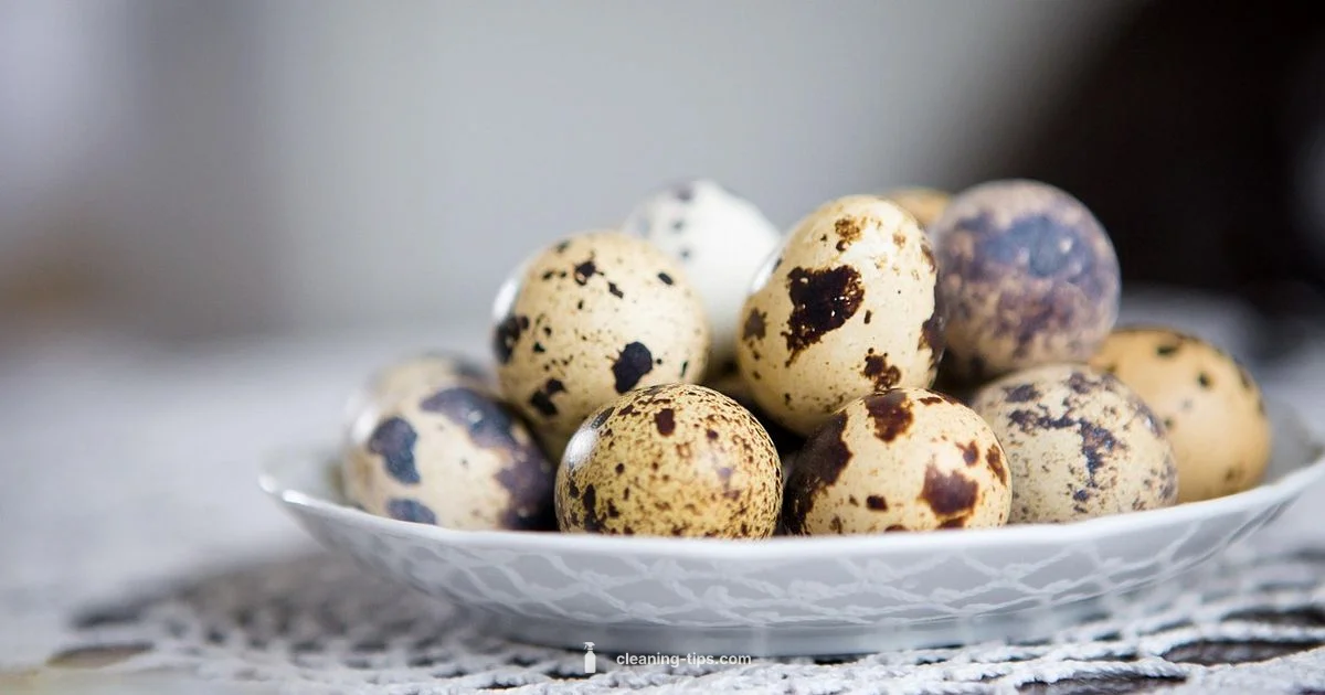 Clean Protein Powder Guide - Cleaning Tips