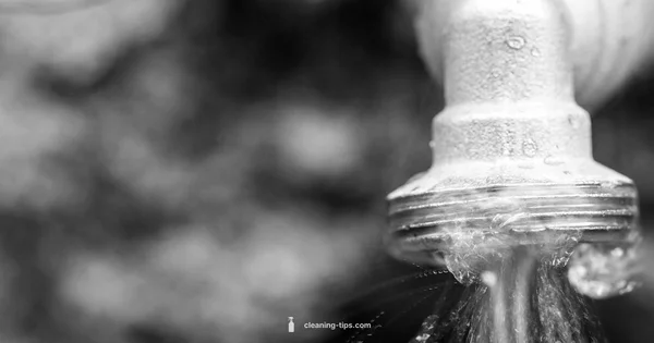 Clean Water Action - Cleaning Tips