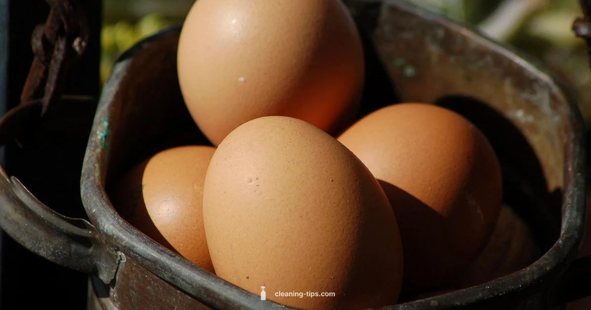 Clean Protein Guide Clean Protein Guide - Cleaning Tips