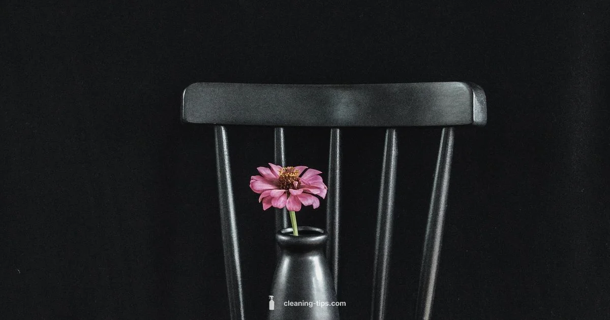 Cleaning Furniture Guide - Cleaning Tips