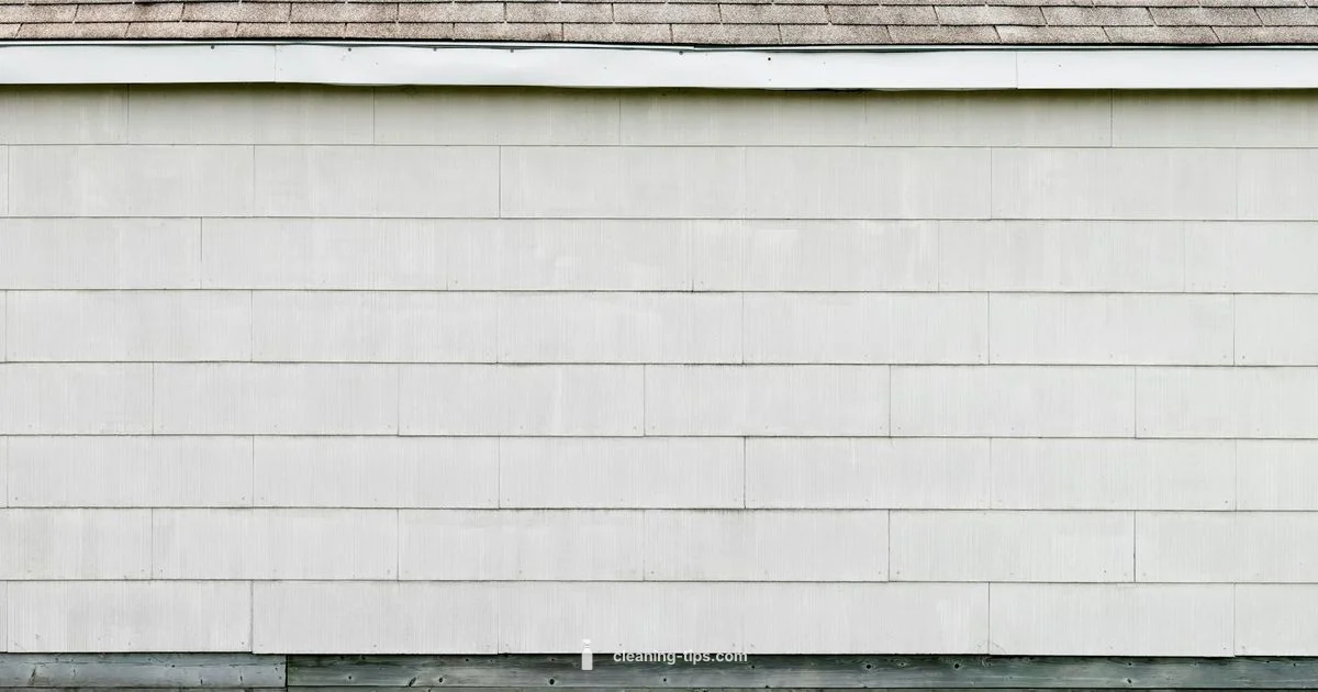 Vinyl Siding Refresh - Cleaning Tips