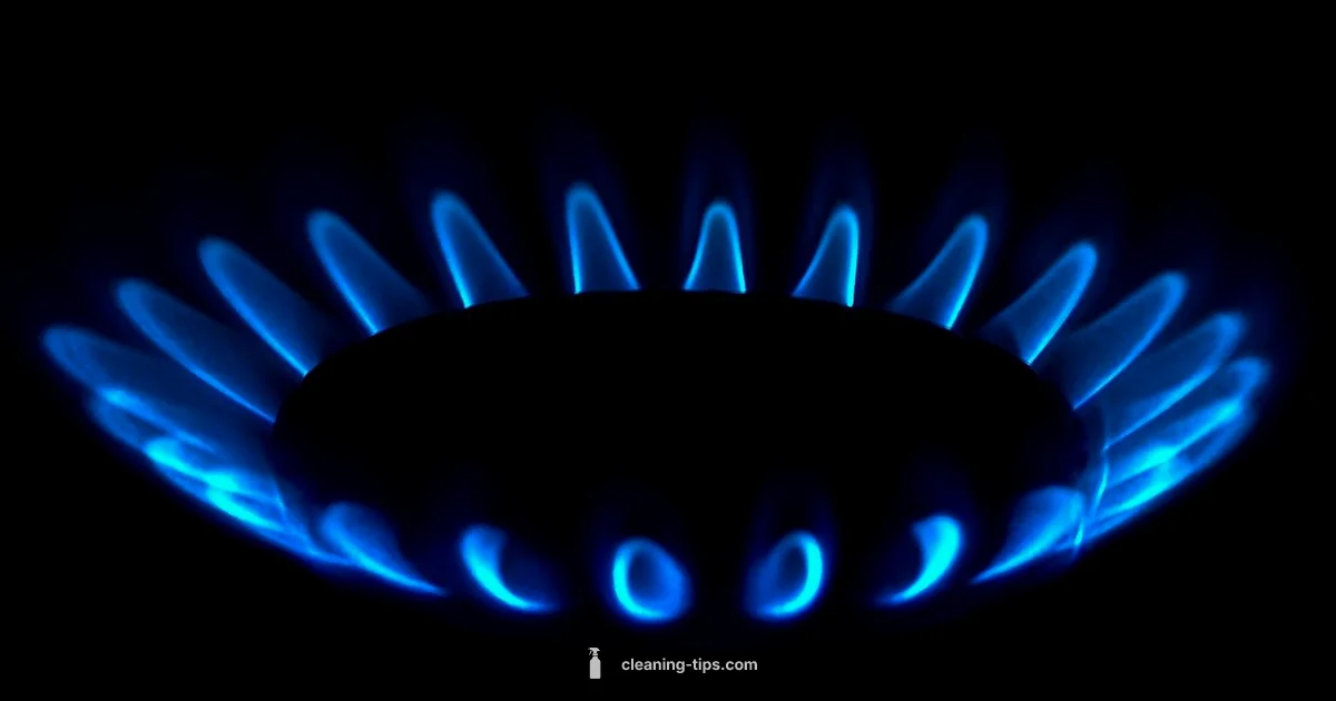 Knobs Cleaning - Cleaning Tips