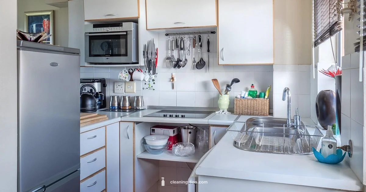 Clean Microwave Guide - Cleaning Tips