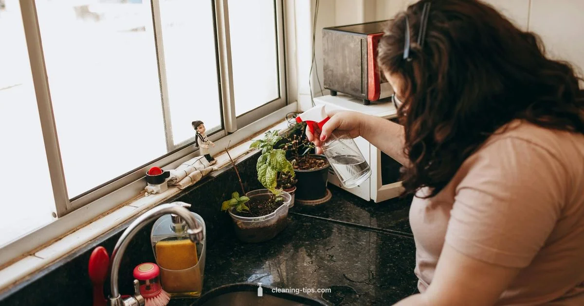 Multisurface Cleaning Guide - Cleaning Tips