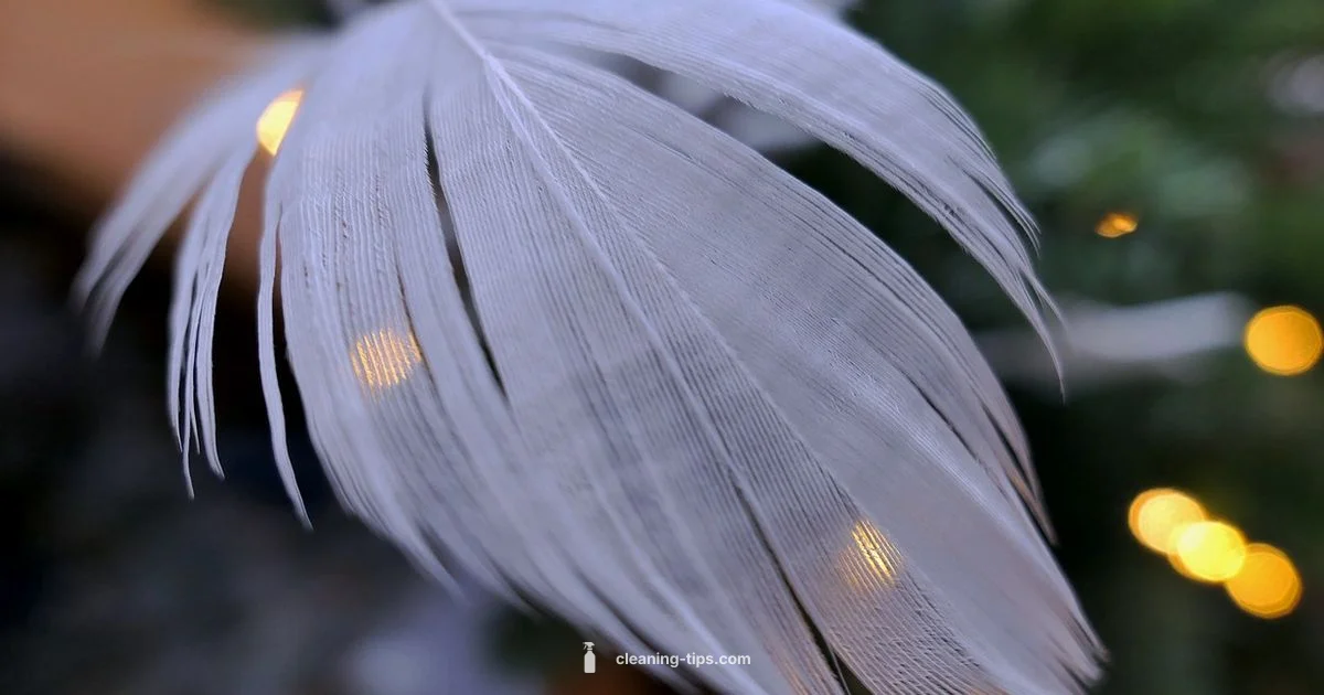 Goose Down Care - Cleaning Tips