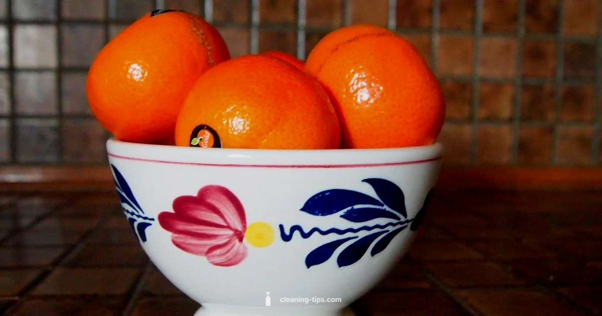 Digestive Health Tips - Cleaning Tips