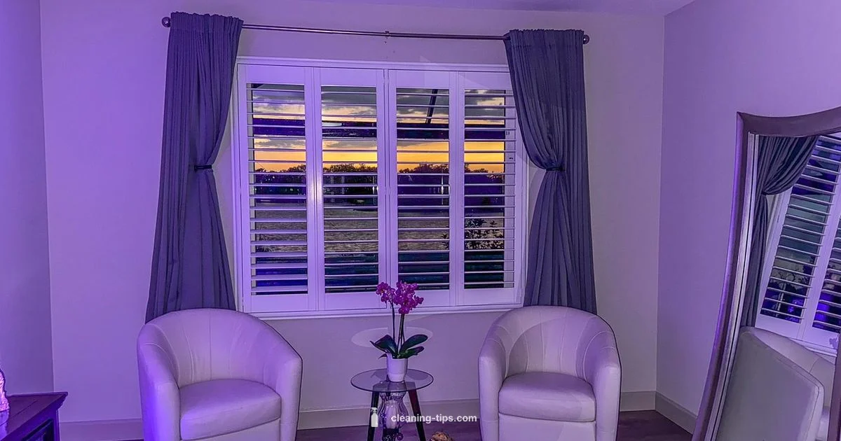 Home Clean Out - Cleaning Tips