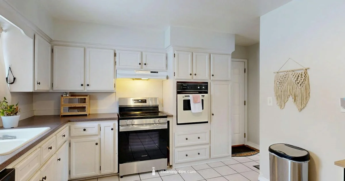 Clean Smarter Everyday - Cleaning Tips