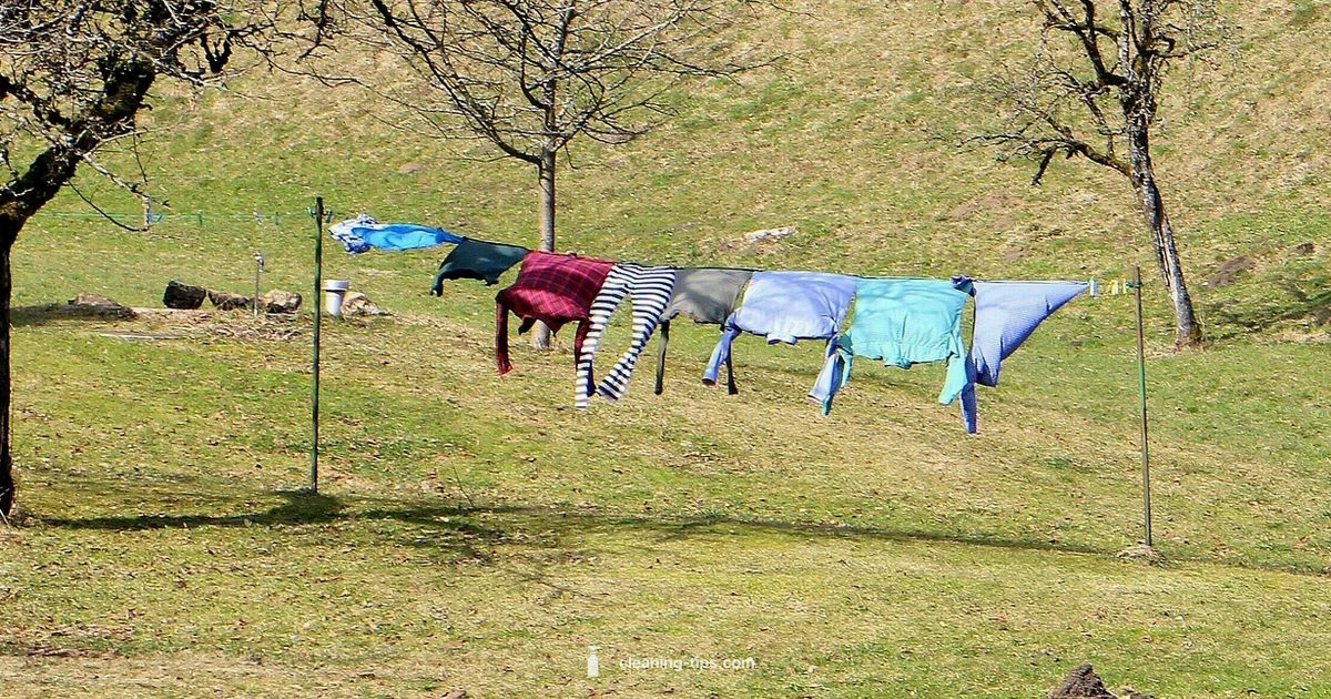 Dry-Clean-Only Care Dry-Clean-Only Care - Cleaning Tips