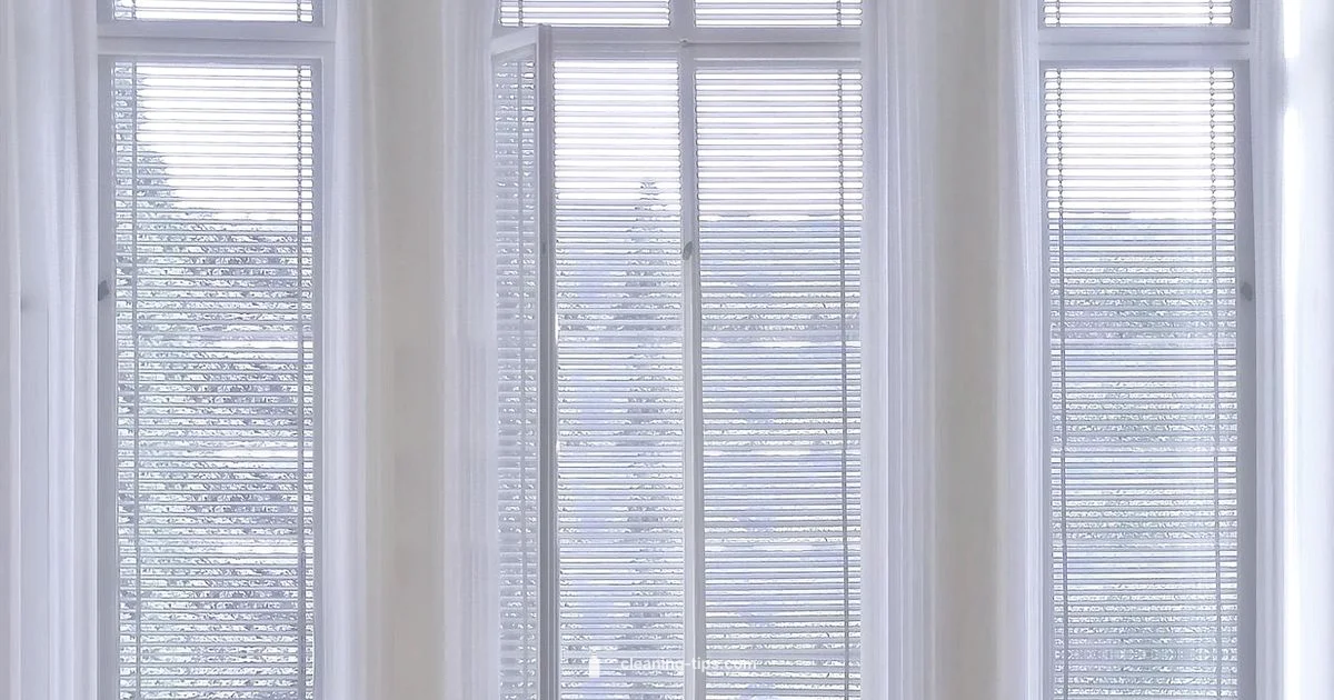 Clear Windows Clear Windows - Cleaning Tips